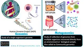 Difference between Genomics and Metagenomics