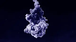 Nerveless - Echoes (Visualizer)