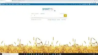 Analyze and Understand with Complexity Analysis – SMART TS XL Demo