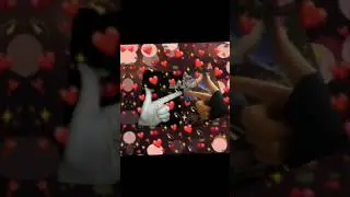 ❤❤❤😻😻😻
