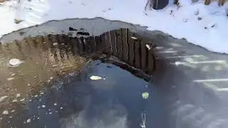 DIY Koi Pond Update - First Snow On the Ground- November 20, 2022