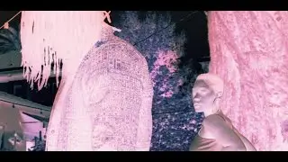 SiR - W$ Boi