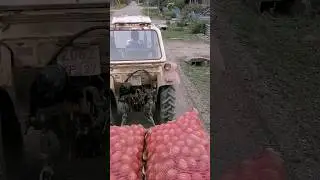 Синий трактор 🙈🙈🙈