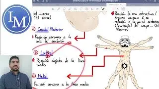 Embriología | Terminología Embriológica de Posición, Planos y Movimiento.