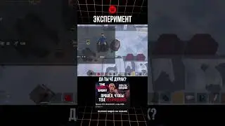 РУБРИКА ЭКСПЕРИМЕНТЫ в игре THE WILD EIGHT