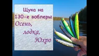 Щука на 130-е воблеры. Осень, лодка, Юхро