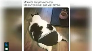 для хорошего настроения!
