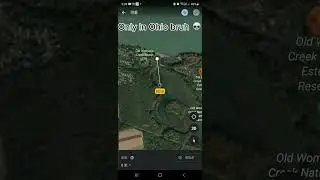 Only in Ohio bruh💀 #country #ohio #googlemap #fuuny