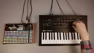 Deluge & Minilogue XD