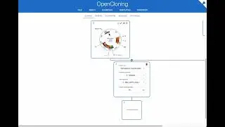 GoldenPiCS with OpenCloning: Step-by-Step MoClo Cloning Tutorial