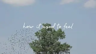 Phoebe Ryan - Just Like Me (Official Lyric Video)