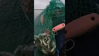 Вот это Поворот! Попали!