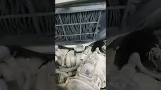 КАК УБИТЬ СВОЁ ЗДОРОВЬЕ В ГАЗЕЛЬ НЕКСТ!!!!