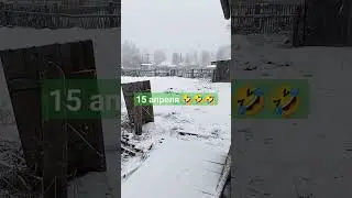 снег в Сибири 🤭