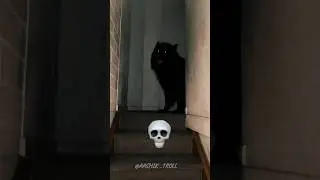 Dogs Can't be Scary 💀