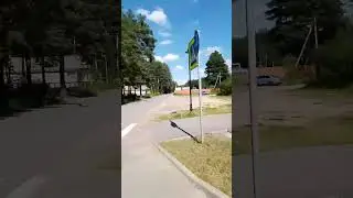 природа в Кингисеппе. прогулка по аллее.