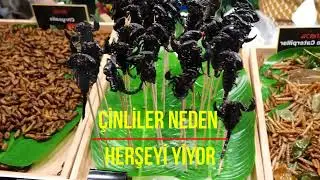 İğrenç mi Lezzetli mi? Çin'de Böcek Yemek Neden Bu Kadar Popüler?
