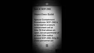 Scp 286 The Brothers' Game