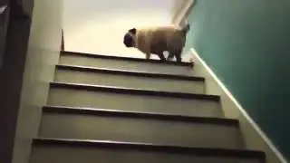 ржу