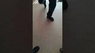 со мной воюет сатана