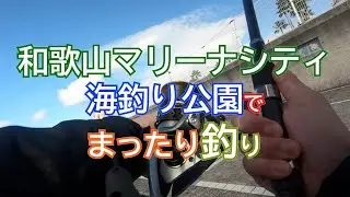 和歌山マリーナシティ海釣り公園でぶっこみ