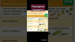 народные приметы .что и когда сеять