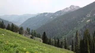 Trail Ride in Idaho