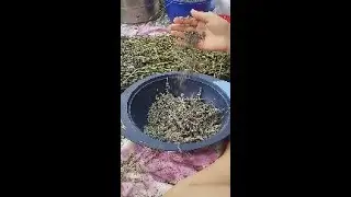 Творческая медитация