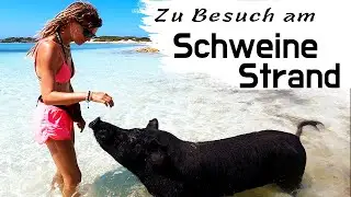 Diese Insel ist VÖLLIG CRAZY 😵 | Buddyboats mit BLUE HORIZON & Ferdinand