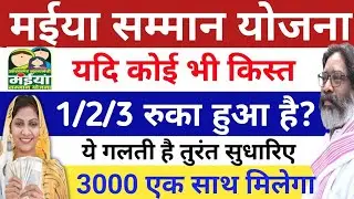 मंईयां सम्मान योजना का पैसा नहीं आया है | समाधान जान ले तीनो किस्त का पैसा एक साथ | jmmsy