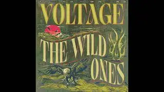 Voltage // The Wild Ones