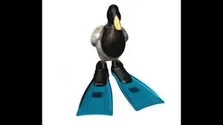 Duck spinning to tokyo drift
