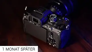 SONY A7IV - ANDERS ALS ERWARTET - [Deutsch] Silvio Oeser
