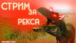 Стрим за рекса начало в 12:00 по МСК