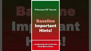 🔴 Important Baseline Hints in the Primavera P6!
