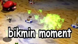 average pikmin romhack difficulty