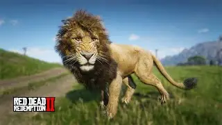 Playing as a Lion in Red Dead Redemption 2 | RDR2