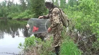 Бунгало. Июнь. Рыбалка.