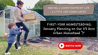 1/3 ACRE URBAN HOMESTEAD: What we’re doing in January! 🌱 #UrbanHomestead