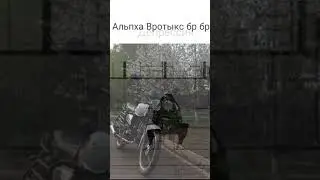 залечу без хэштегов