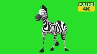 3D Zebra Magic: Green Screen Animation for Stunning Videos | 4K Quality| 