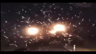 UFO captured by a car's dashcam in Brazil