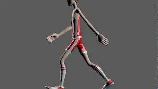 Walk Cycle Normal