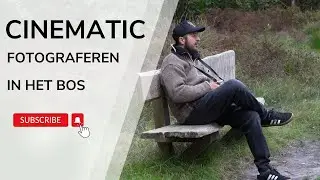 Cinematic | Forest photography | Texel Netherlands |