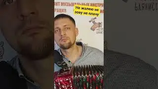 не жалею не зову не плачу на гармони