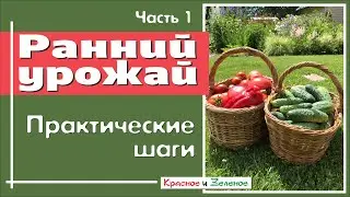 Ранний урожай. Практические шаги для достижения цели. Ч1