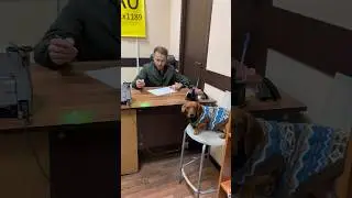 Личный помощник в офисе😎