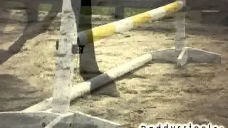 MEPpt4