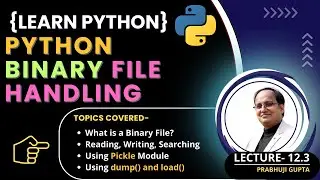 Python Binary Files Explained: Read, Write, and Manipulate Binary Data Like a Pro!
