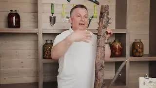 Алатар